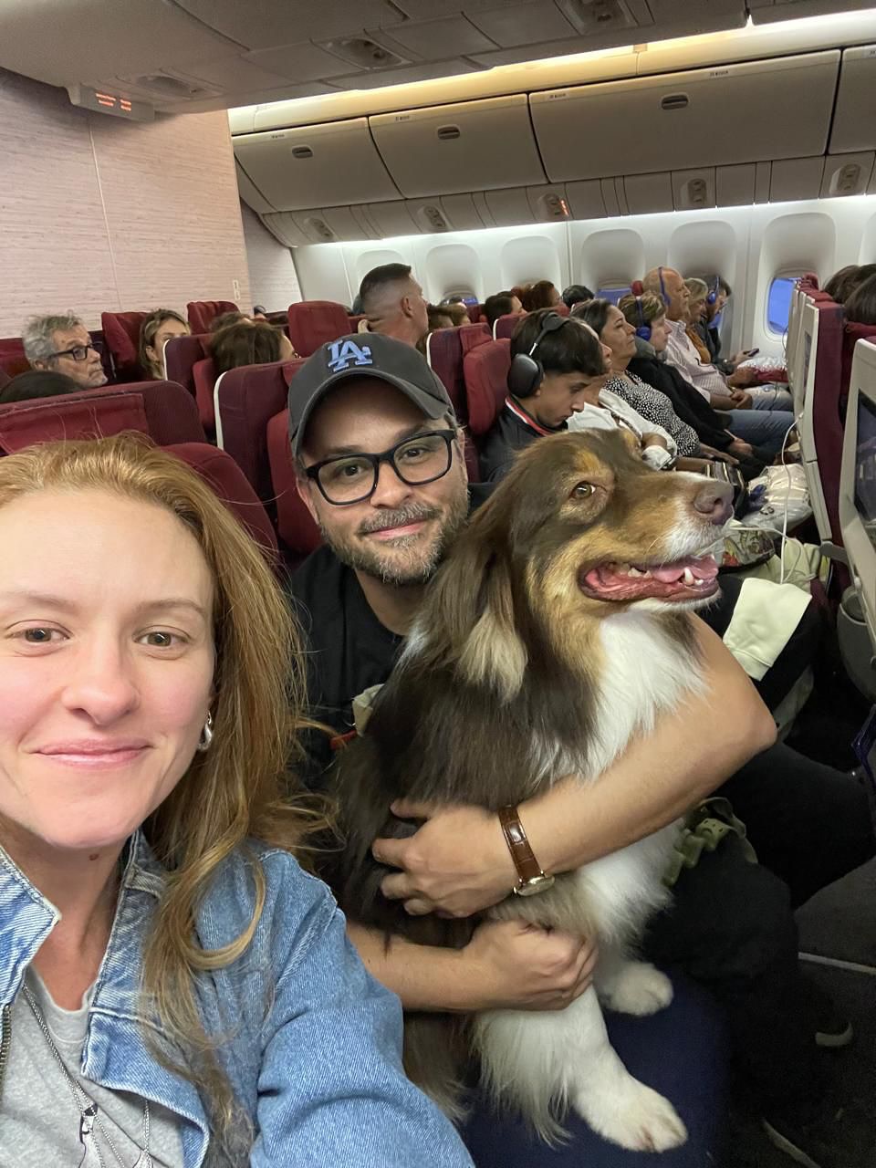 Família viajando na cabine do avião com o cão de serviço Benjamin no colo