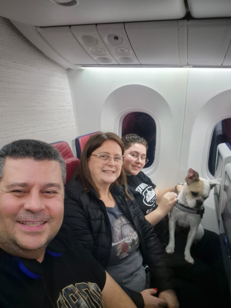 Golden Retriever descansando com cobertor na cabine do avião