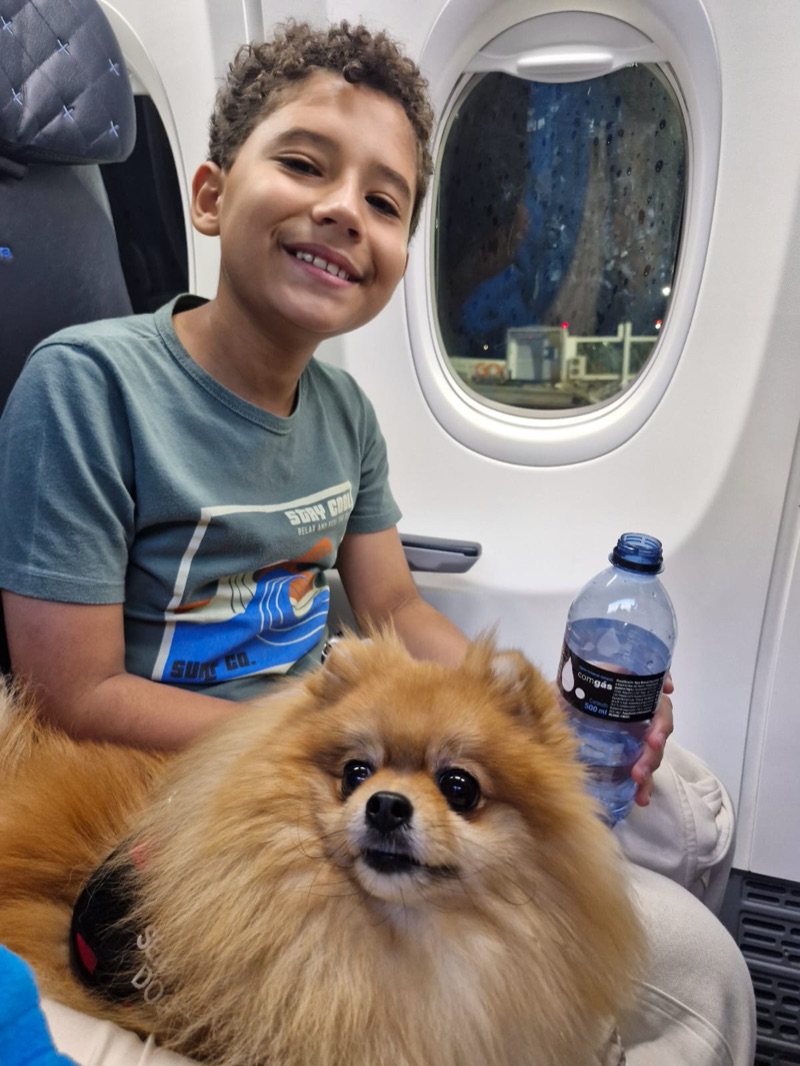 Menino com Pomeranian service dog na poltrona do avião durante voo internacional